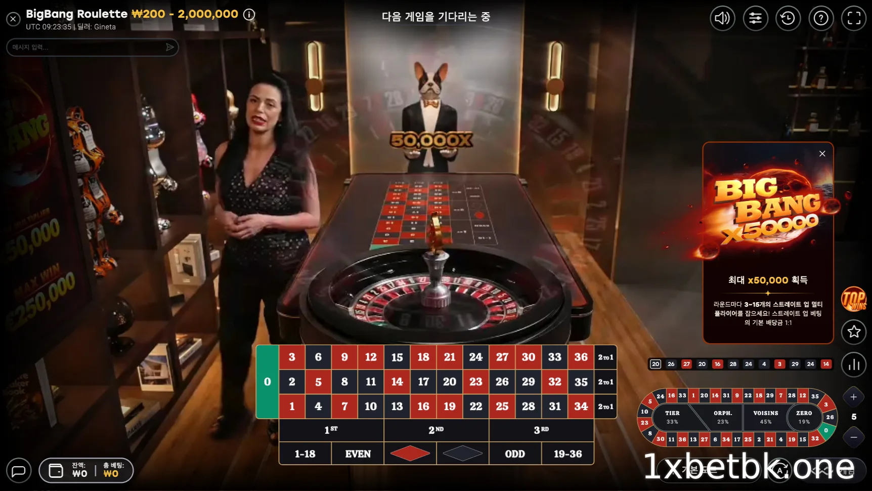 1XBET에서 최고의 카지노 홀을 확인하세요