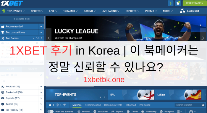 1XBET 후기 in Korea | 이 북메이커는 정말 신뢰할 수 있나요?